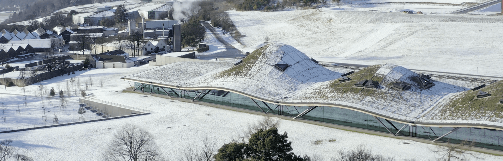 Hvorfor Du Skal Købe Macallan Whisky - Et Indblik i Kvalitet og Investering
