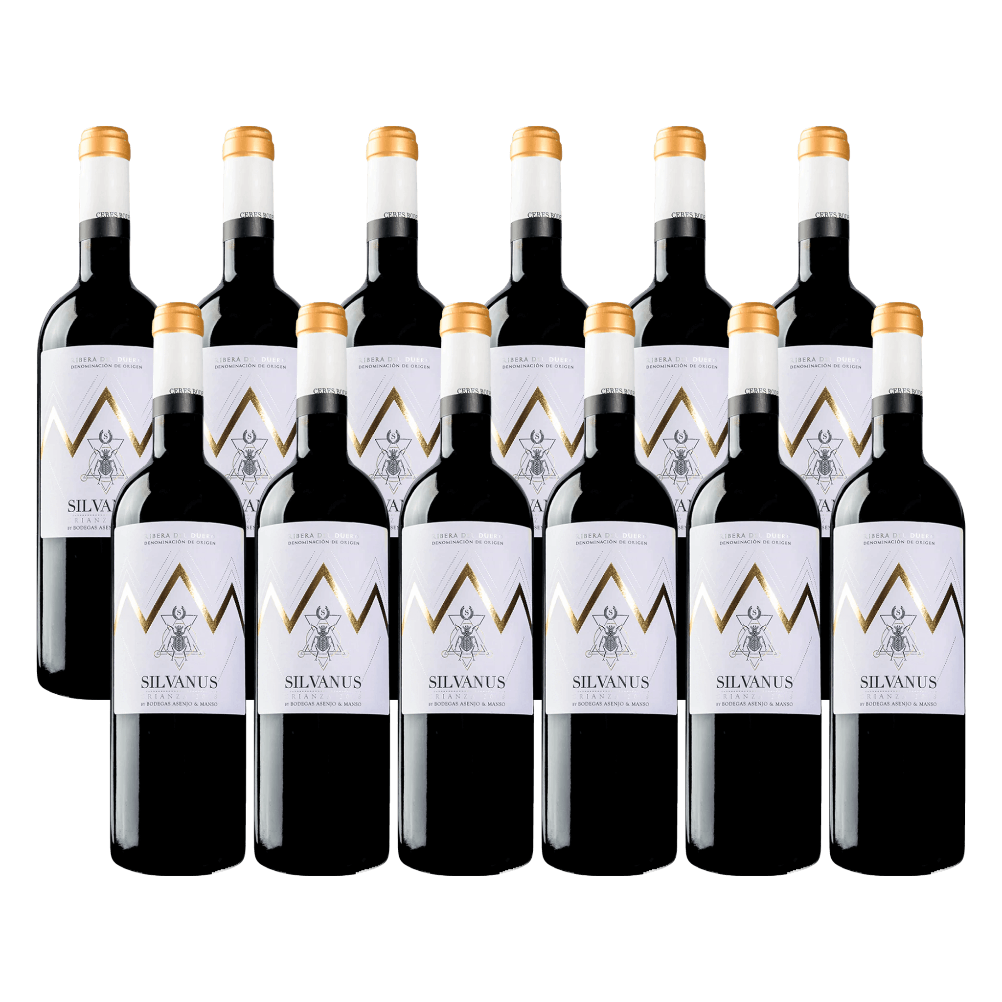 Bodegas Asenjo & Manso Silvanus 2022 Rødvin Red Wine 12 Whiskystack