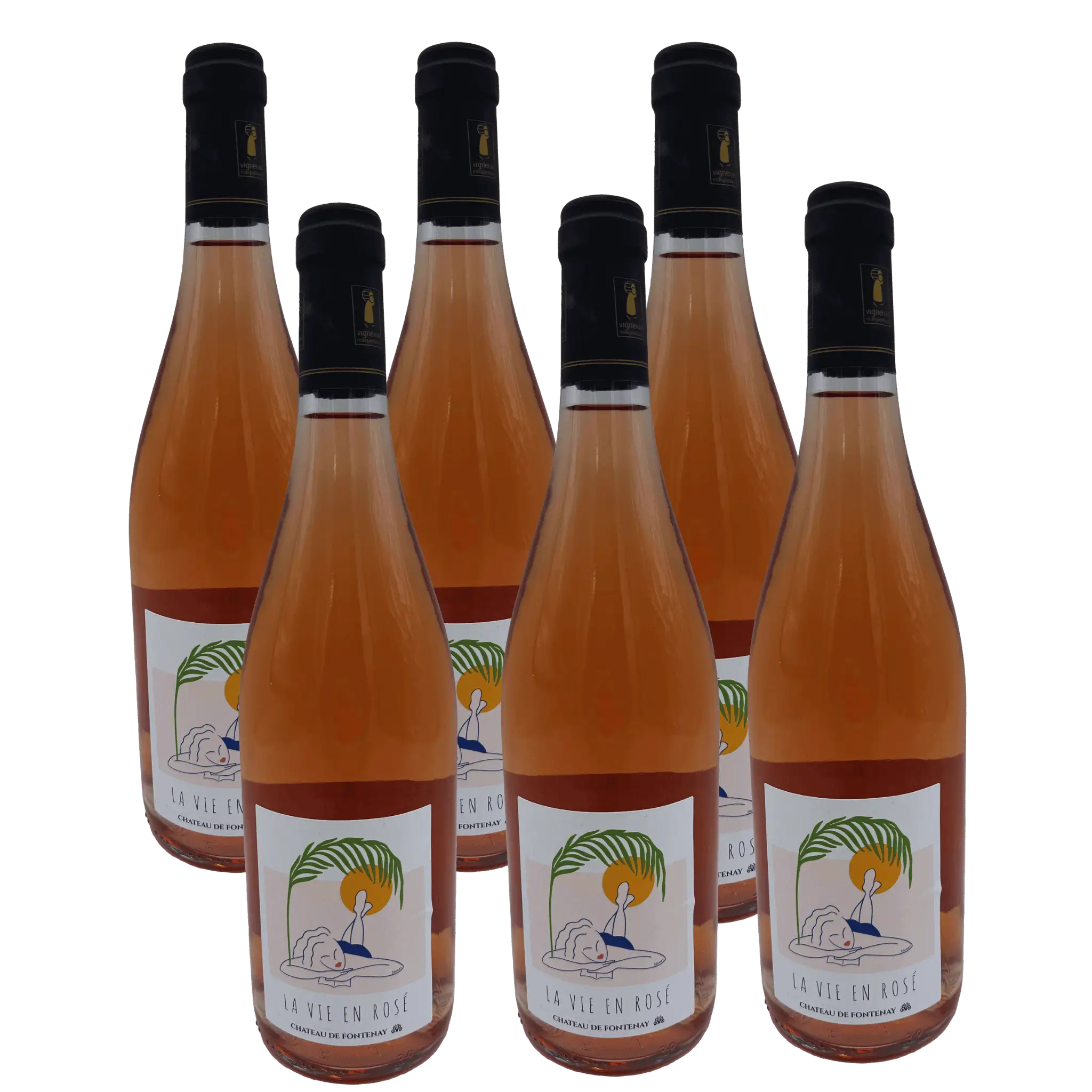 La Vie en Rosé 6 flasker – Elegant Rosé fra Loire
