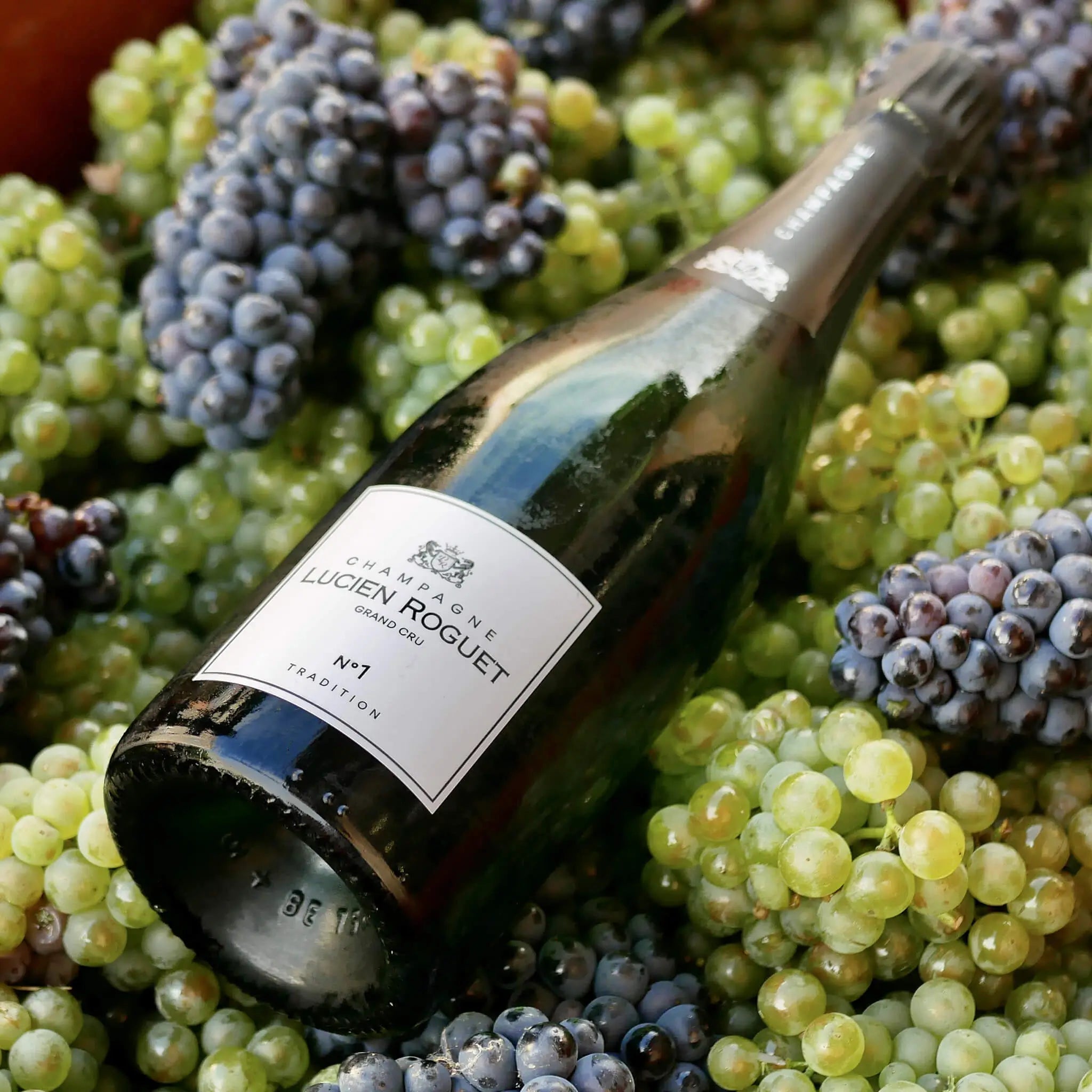 Lucien Roguet No. 1 Tradition Brut Grand Cru Champagne Whiskystack
