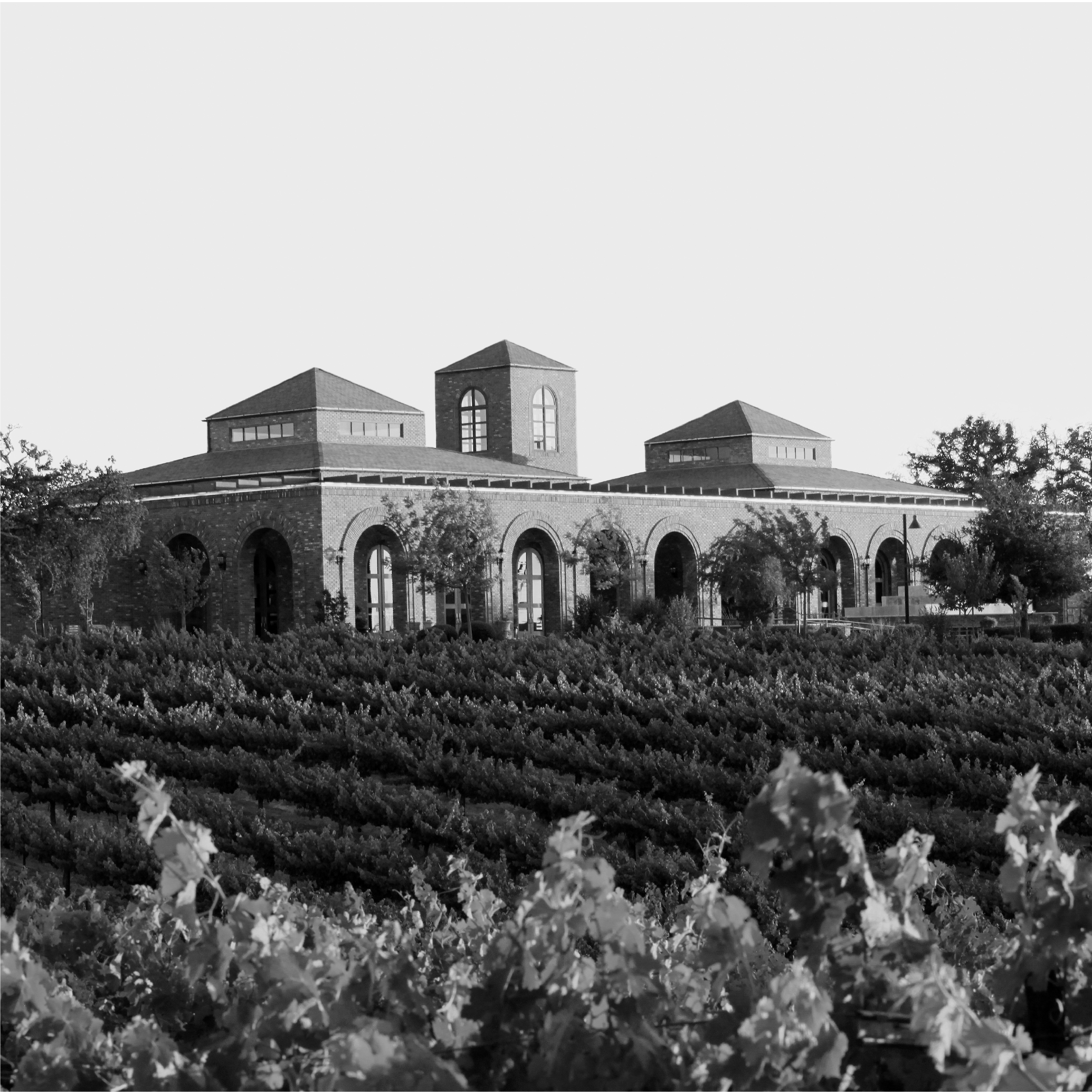 Rabble 2023 Cabernet Sauvignon