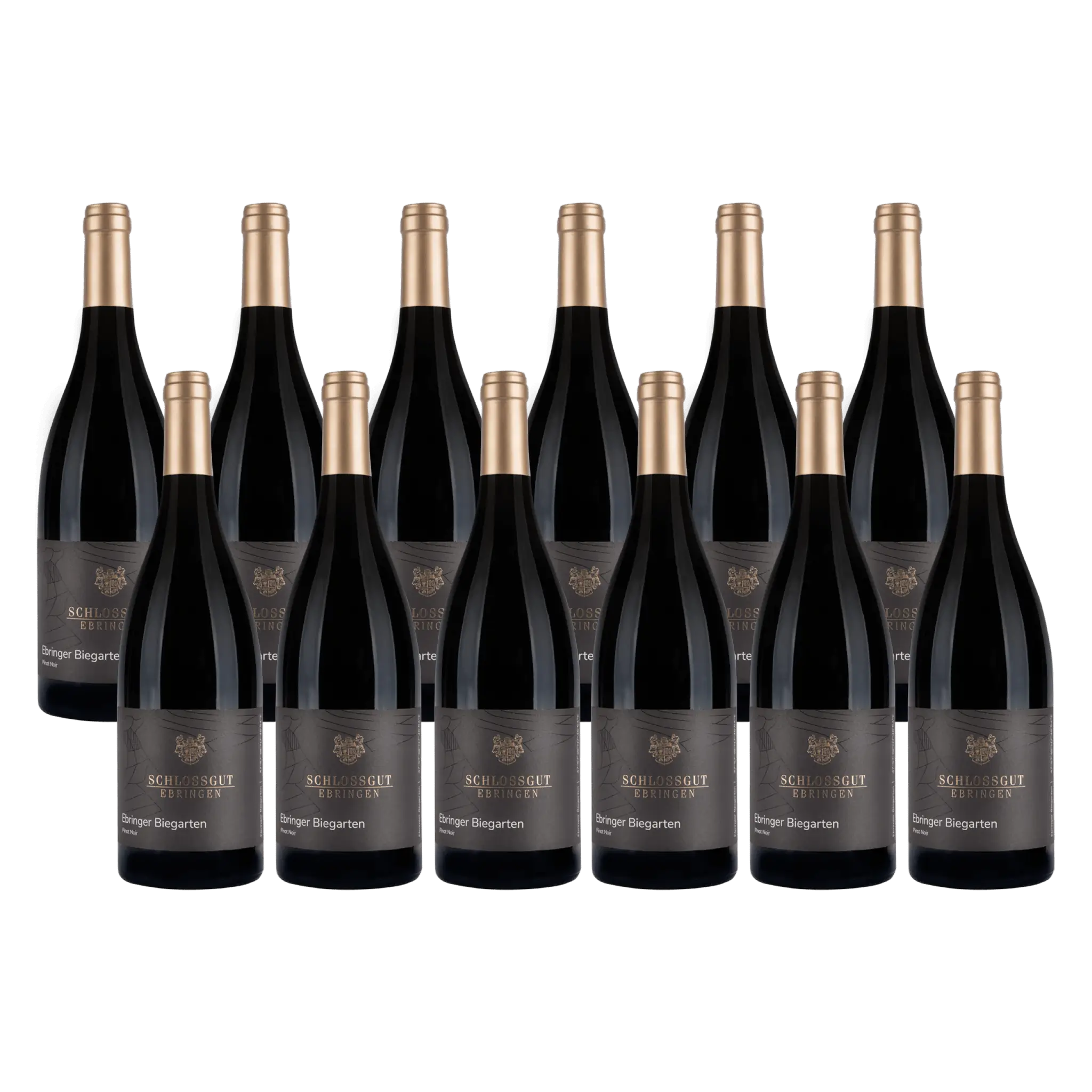 Schlossgut Ebringen Biegarten Pinot Noir 2023 12 pak Whiskystack