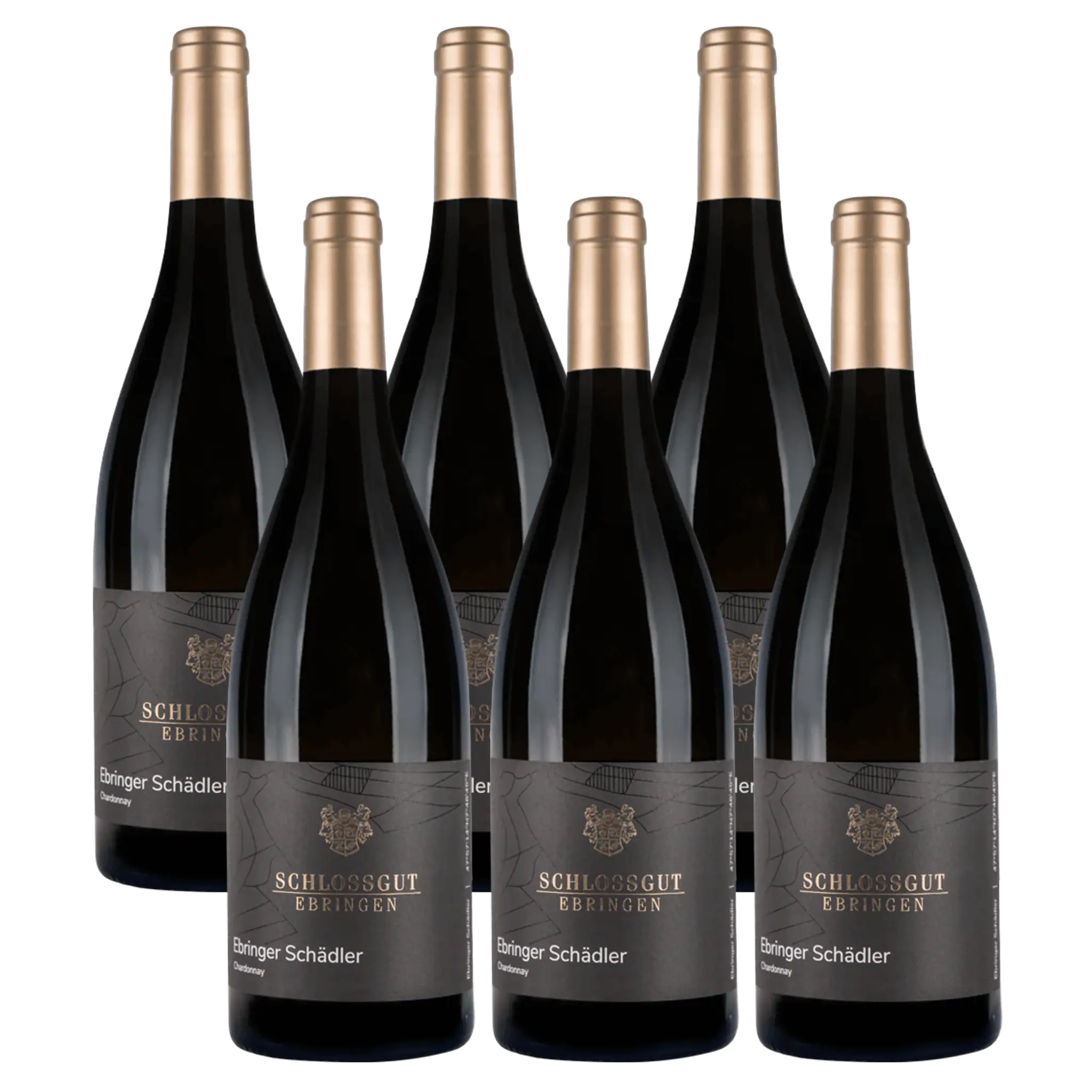 Schlossgut Ebringen Schadler Chardonnay 2024 6 pak Whiskystack