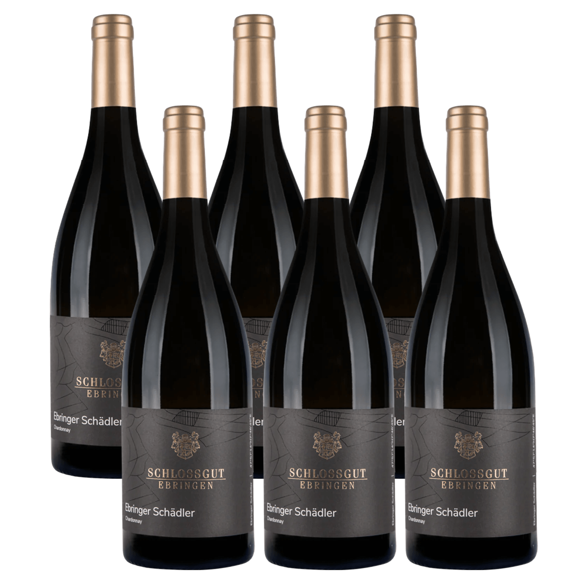 Schlossgut Ebringen Schadler Chardonnay 2024 6 pak Whiskystack
