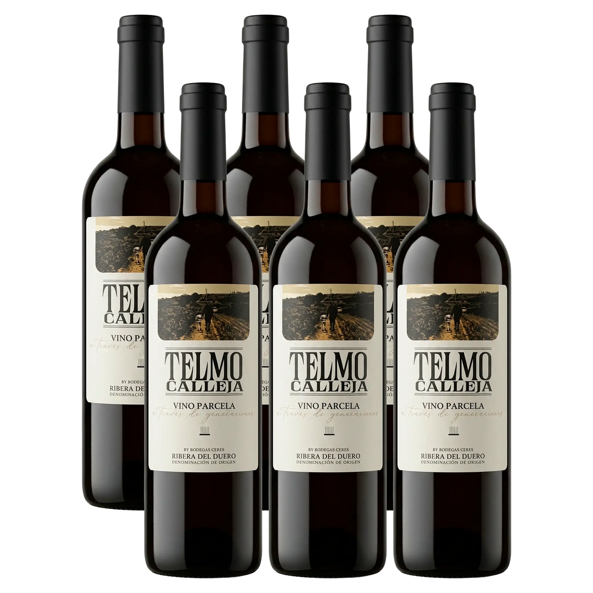 6 Flasker Telmo Calleja Ribera del Duero Rødvin.