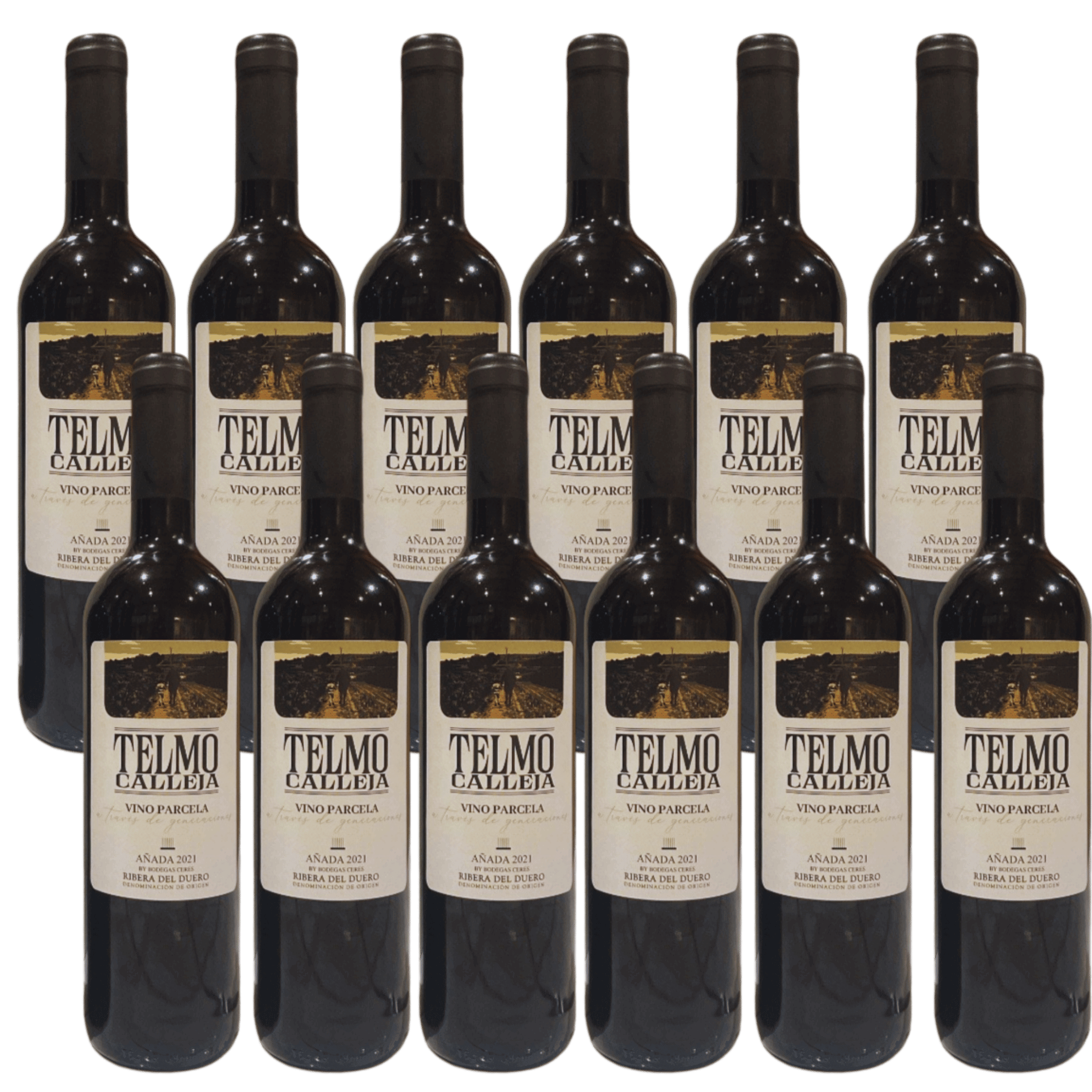 Telmo Calleja – Ribera del Duero 12 Flasker