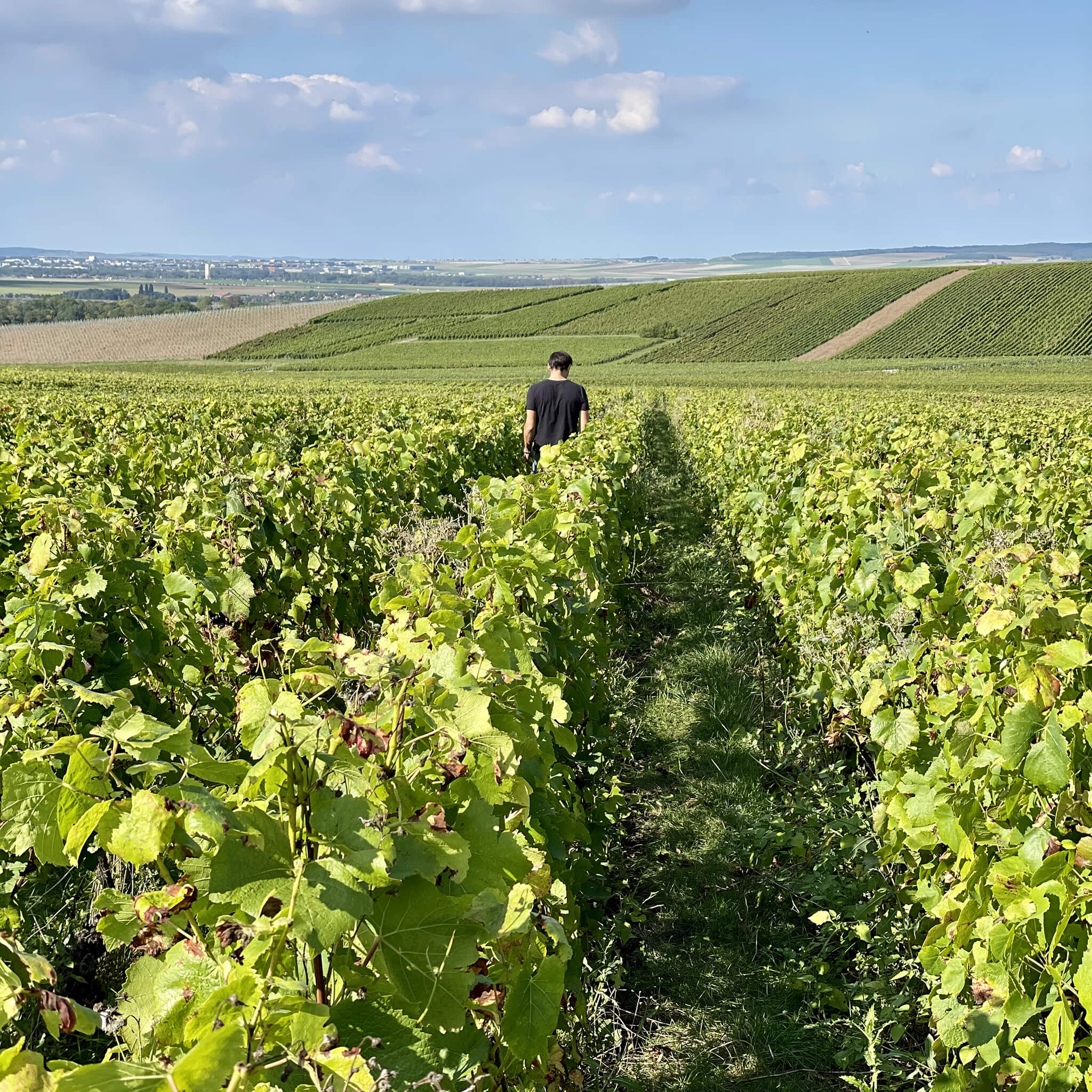 Eksklusiv Champagne anmeldelse: Lucien Roguet Grand Cru