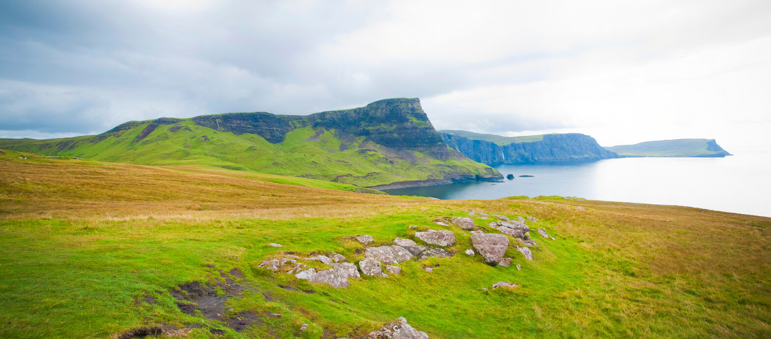 The Macallan Amber Meadow - En hyldest til Skotlands frodige natur