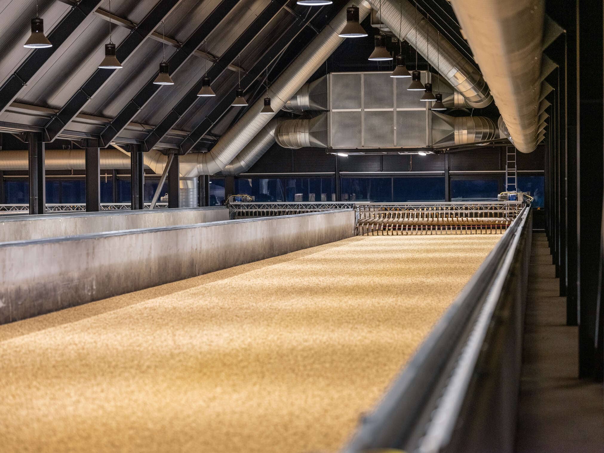 Sådan malter Stauning selv deres korn – og hvorfor det smages i hver eneste dråbe