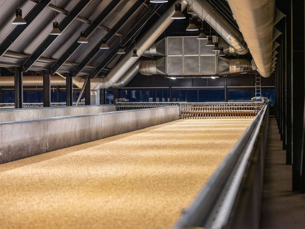 Sådan malter Stauning selv deres korn – og hvorfor det smages i hver eneste dråbe