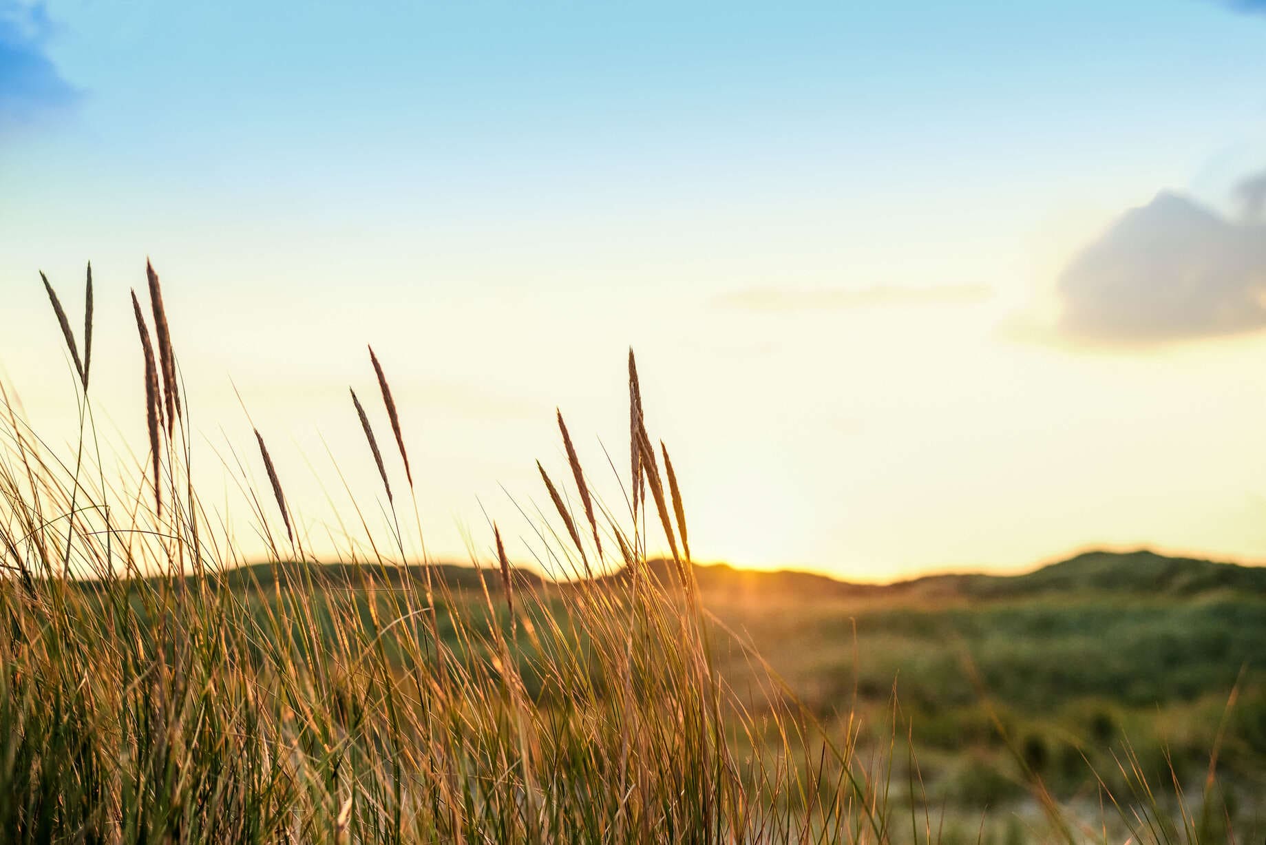 Derfor skal du tage til Vestjylland for at opleve Stauning