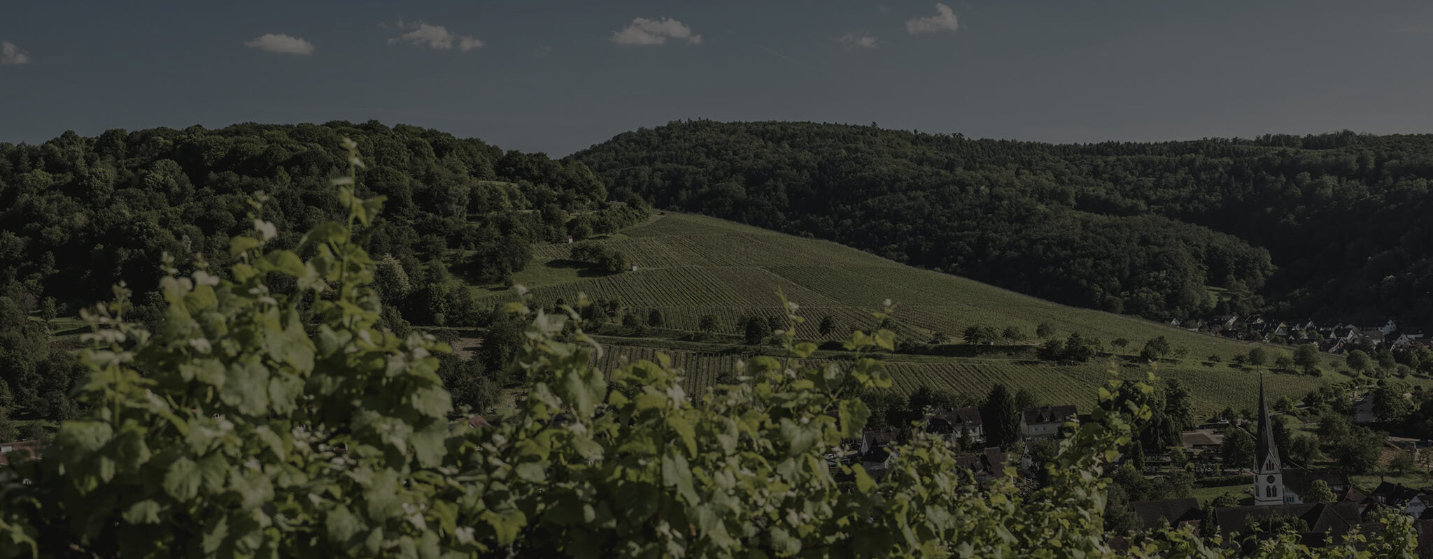Tysk vin fra Tyskland