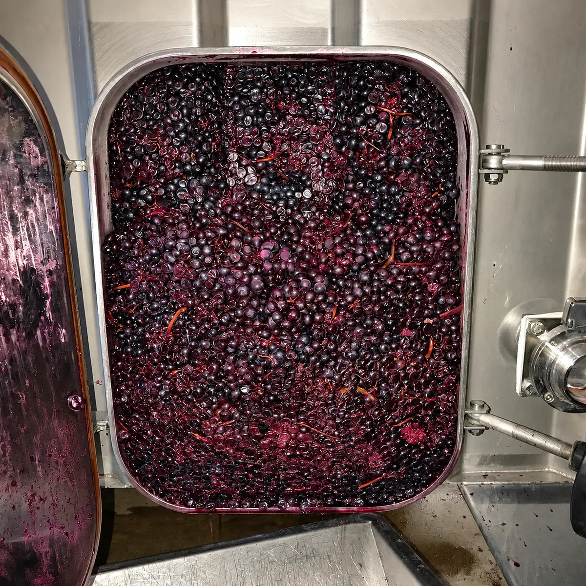 Chateau Canet Red Grapes