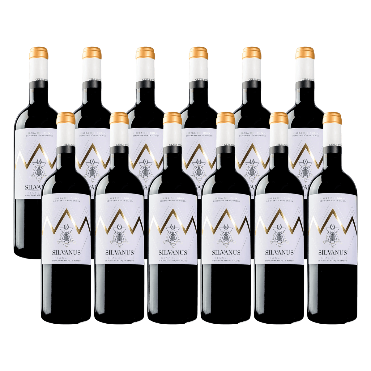 Bodegas Asenjo & Manso Silvanus 2022 Rødvin Red Wine 12 Whiskystack