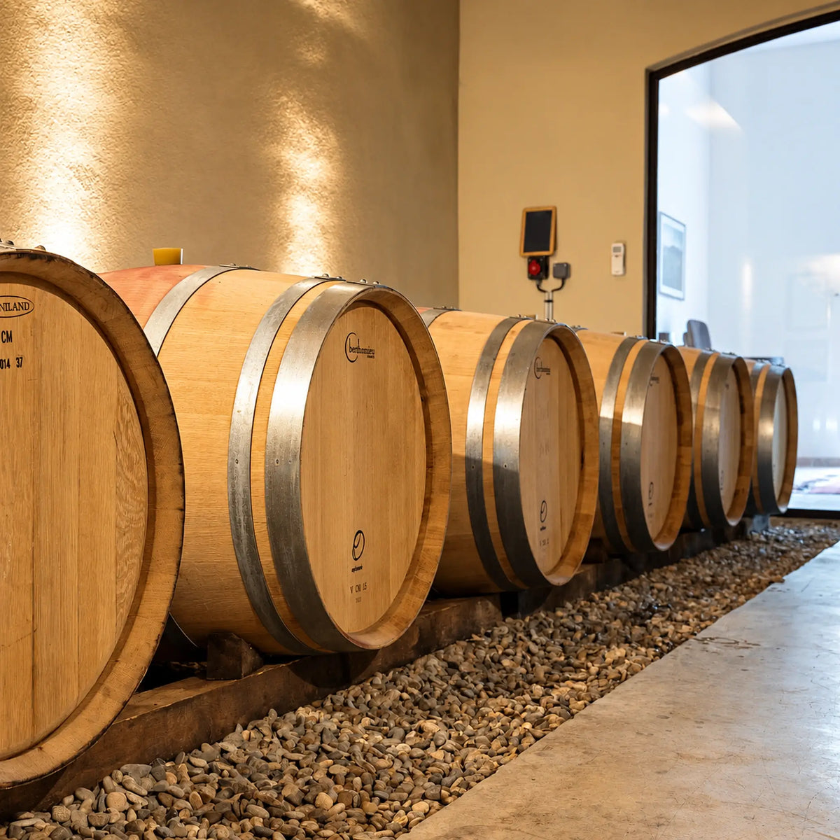 Chateau Canet Wine Cellar Barrels