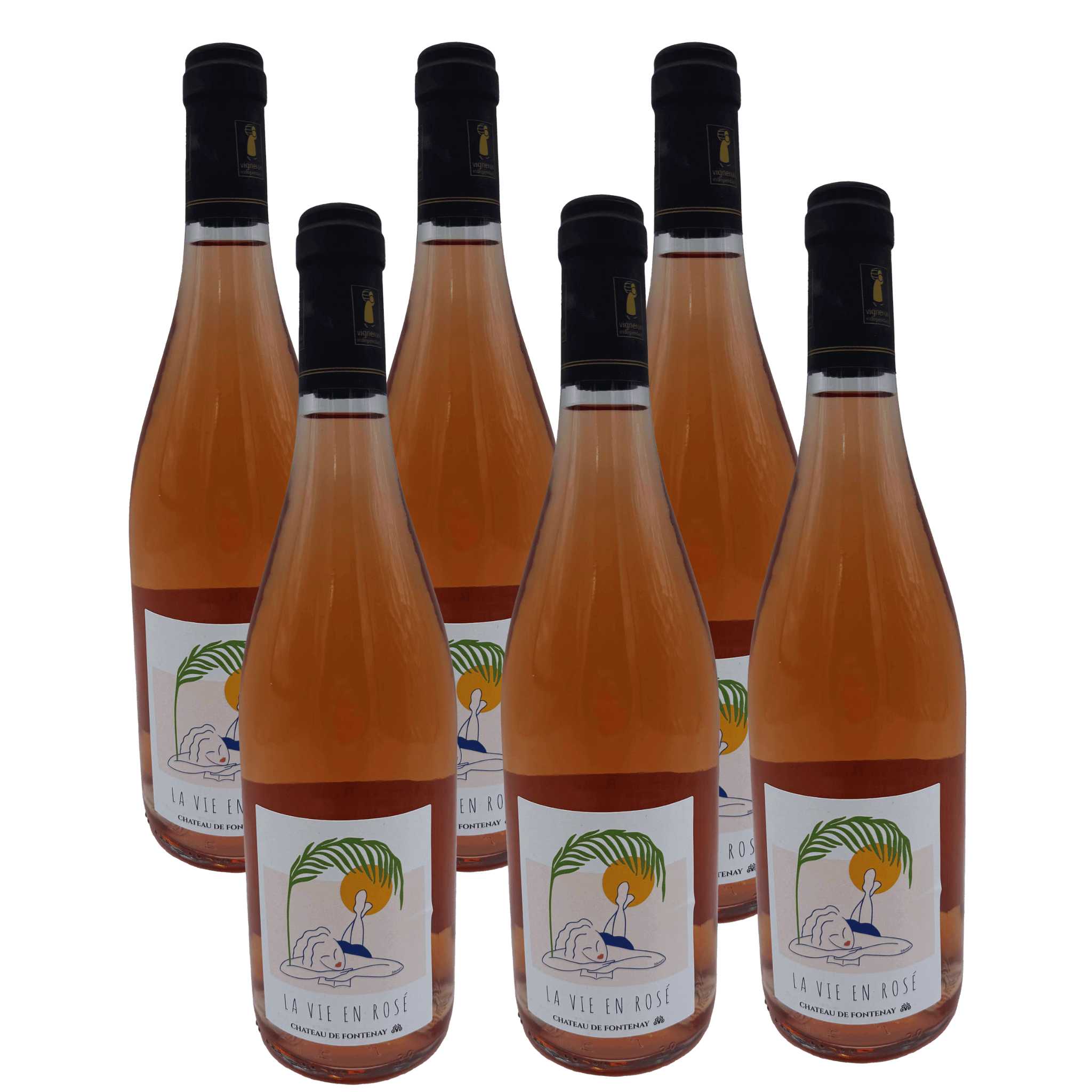 La Vie en Rosé 6 flasker – Elegant Rosé fra Loire