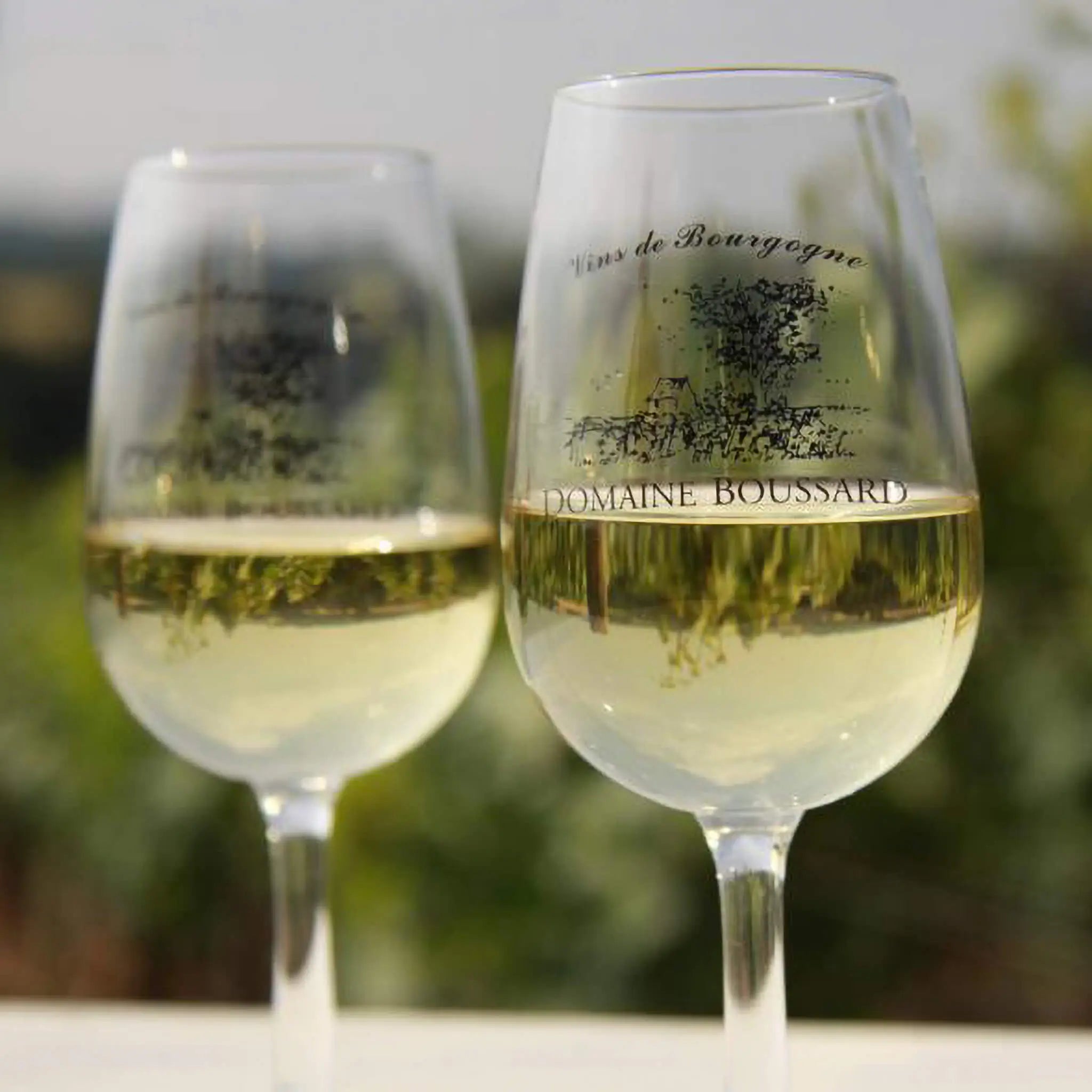 Domaine Boussard Bourgogne Chardonnay Cuvée Les Pierres Blanches 2024