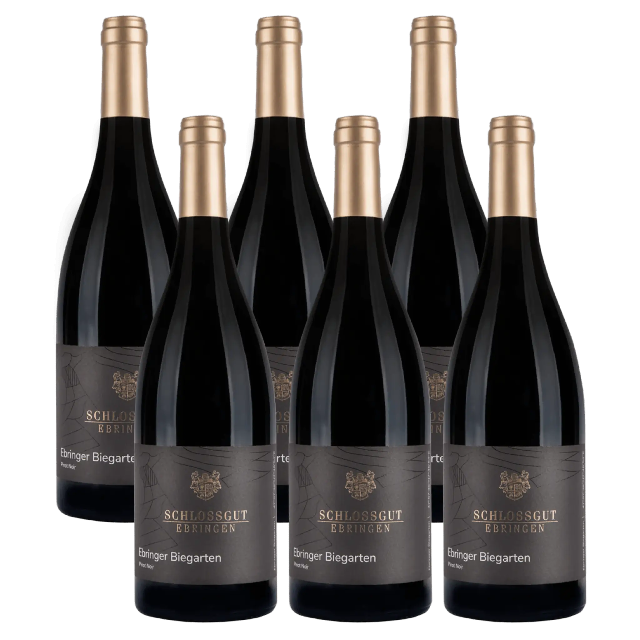 Schlossgut Ebringen Biegarten Pinot Noir 2023 6 pak Whiskystack