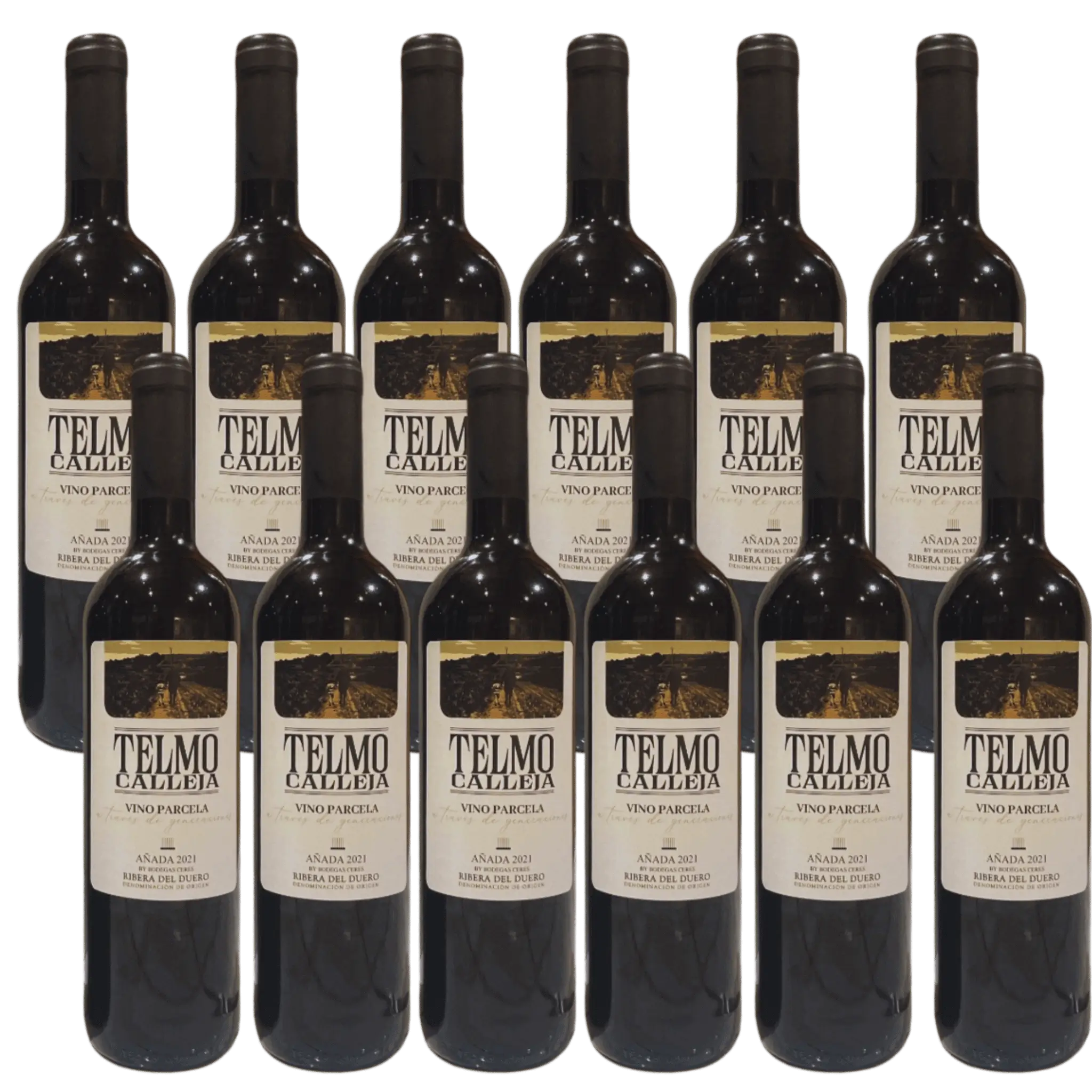 Telmo Calleja – Ribera del Duero 12 Flasker 
