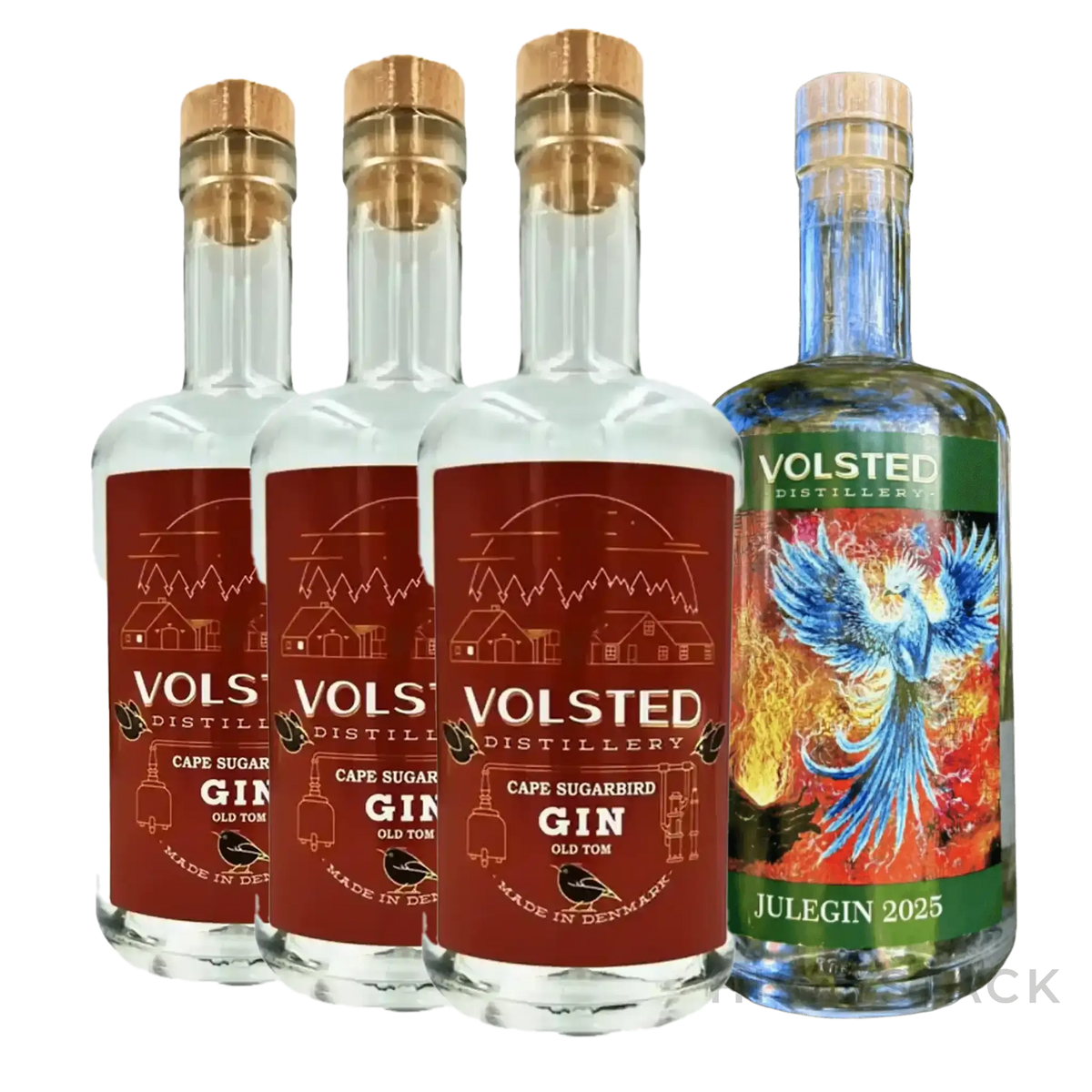 Volsted Cape Sugarbird